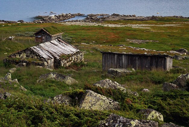 Grüne Landschaft mit hölzernen Scheunen nahe einem See in Norwegen