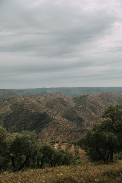 Grüne Landschaft mit vielen grünen Bäumen und Bergen unter den Gewitterwolken