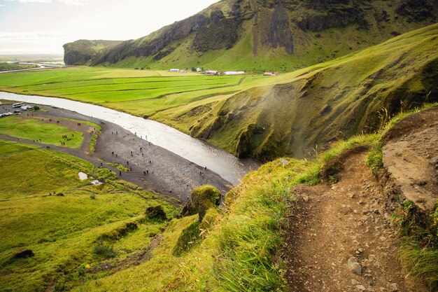 Grüne Landschaft