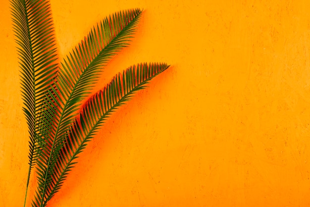 Grüne Palmblätter mit korallenrotem Schatten gegen gelben strukturierten Hintergrund