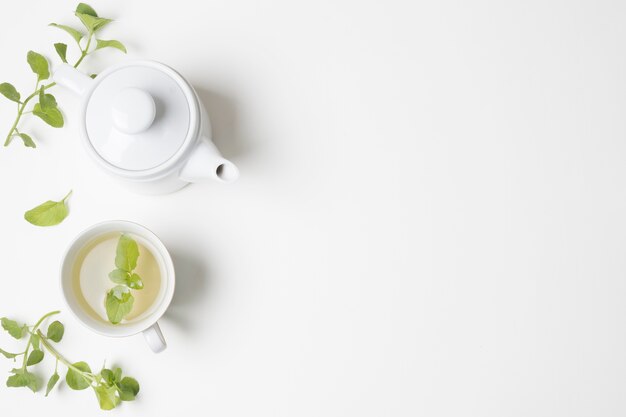 Grüne tadellose Blätter und Teecup mit der Teekanne lokalisiert auf weißem Hintergrund