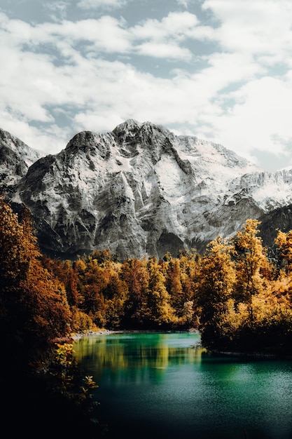 Grüne und gelbe Bäume nahe Berg unter weißen Wolken während des Tages