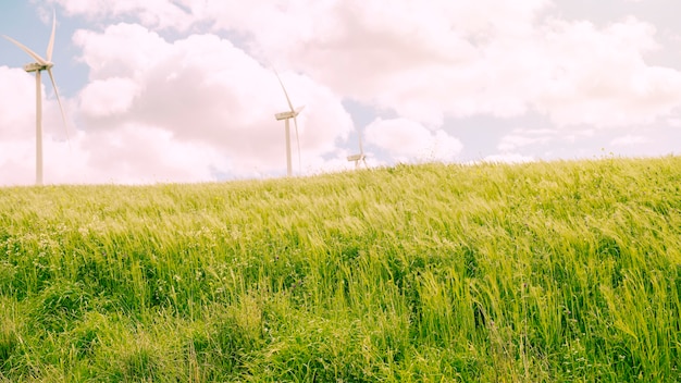 Kostenloses Foto grüne wiese mit bewölktem himmel