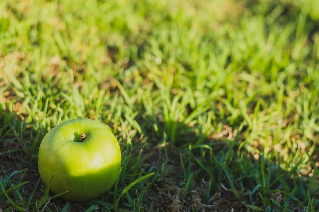 Grüner Apfel auf grünem Gras