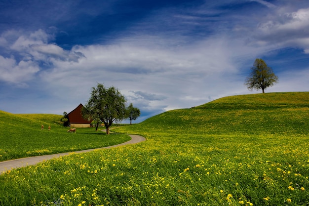 Kostenloses Foto grüner baum nahe rotem haus während des tages