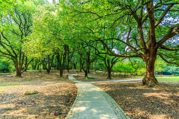 grüner Park