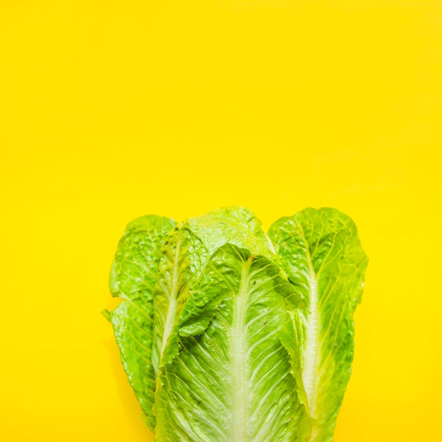 Kostenloses Foto grüner salat