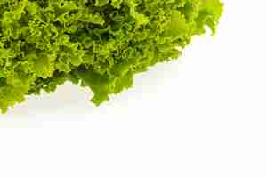 Kostenloses Foto grüner salat