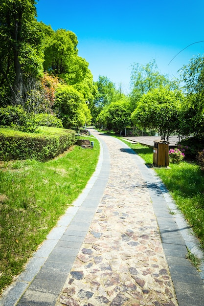 Grüner Stadtpark