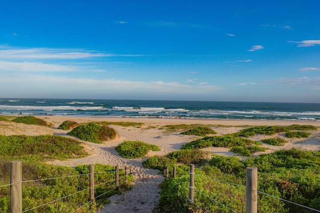 Kostenloses Foto grüner strand unter blauem himmel