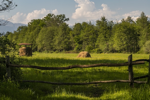 Kostenloses Foto grünes ackerland hinter dem holzzaun