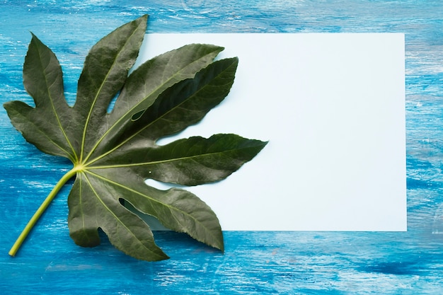 Grünes blatt auf leerem papier über dem blauen strukturierten hölzernen hintergrund