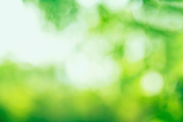 Grünes bokeh auf unscharfem hintergrund natürliches grünes bokeh aus blättern