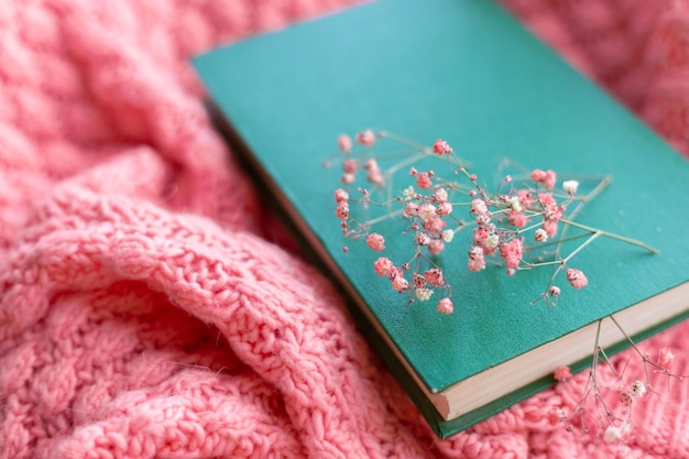 Grünes Buch mit trockenen Blumen auf einem rosa warmen Strickpullover