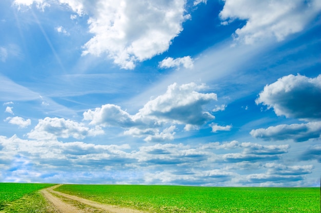 Grünes Feld mit Wolken