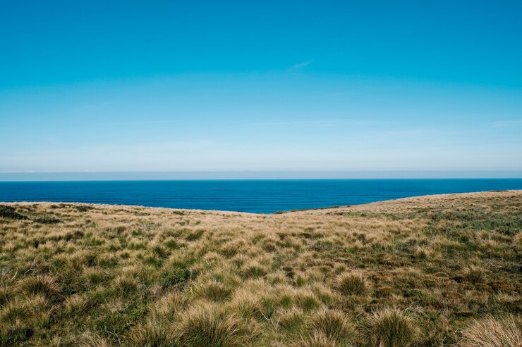 Kostenlose Foto grünes feld und meer