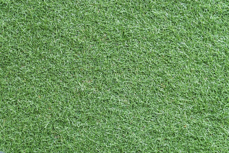 Kostenlose Foto grünes gras