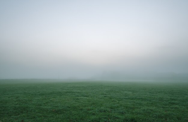 Grünes Grasfeld unter weißem und grauem Himmel