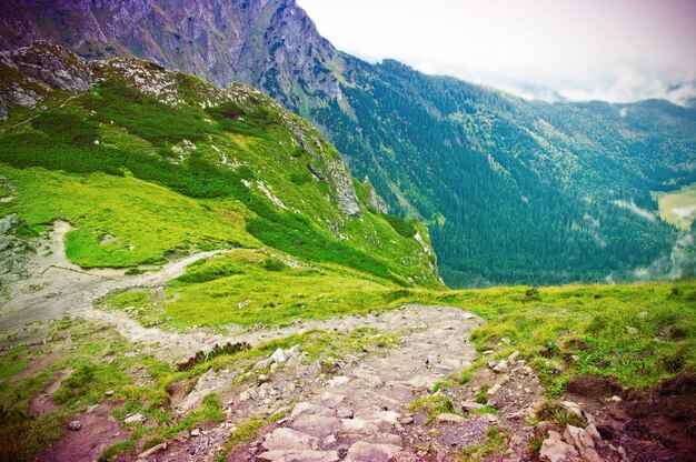 Grünes Tal zwischen den Bergen