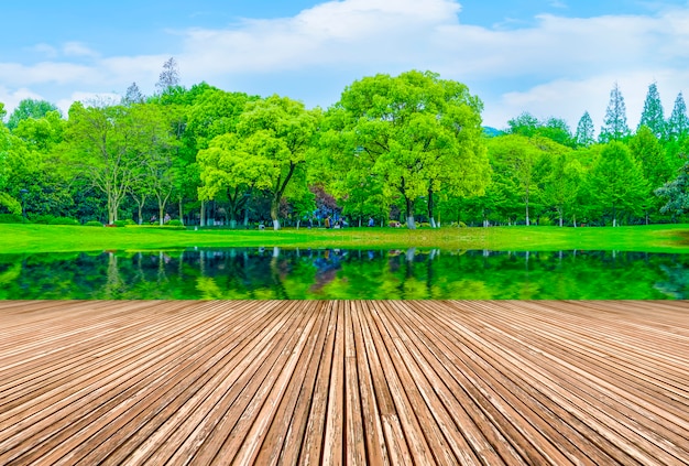 Grünes Wasser Landschaft Sonne im Freien Form Rasen