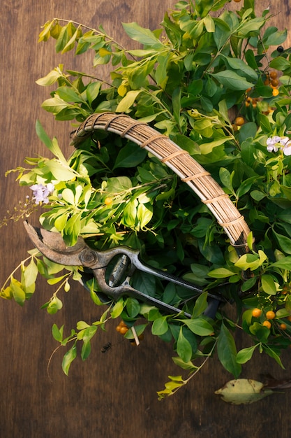 Grünpflanzezweige und Gartenschere im Korb