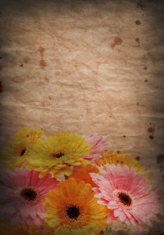 Grunge stil hintergrund mit bild von gerbera gänseblümchen