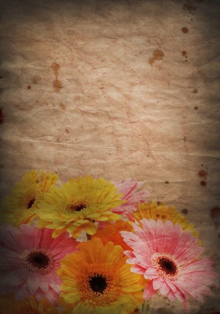 Grunge Stil Hintergrund mit Bild von Gerbera Gänseblümchen