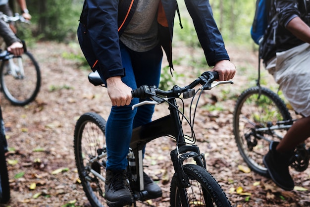 Gruppe Freunde reiten Mountainbike im Wald zusammen