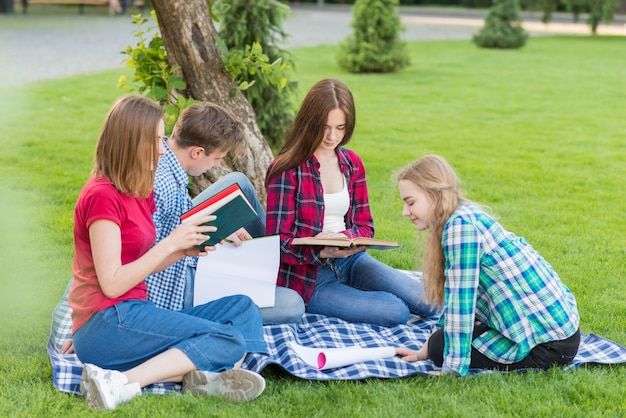 Gruppe junge Studenten, die im Park lernen