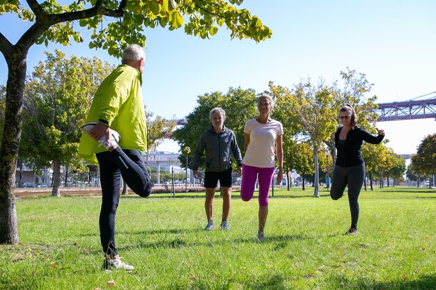 Gruppe von aktiven reifen Leuten im Ruhestand, die Sportkleidung tragen und Morgenübung auf Parkgras machen. Konzept für Ruhestand oder aktiven Lebensstil