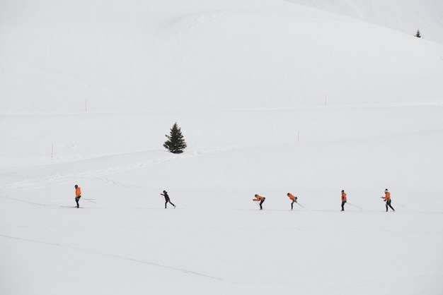 Kostenloses Foto gruppe von langläufern, die auf einem skigebiet trainieren