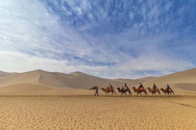 Gruppe von Menschen auf den Kamelen in der Wüste