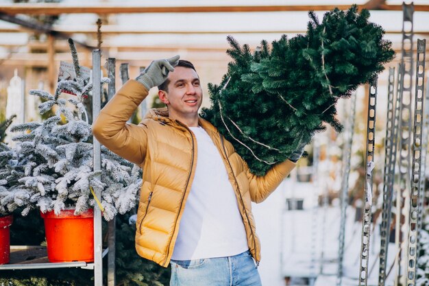 Gut aussehender Mann, der einen Weihnachtsbaum in einem Gewächshaus wählt