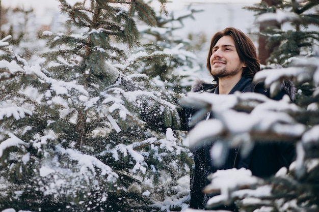 Gut aussehender Mann, der einen Weihnachtsbaum wählt