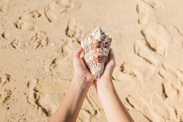 Hände halten eine Muschel am Strand