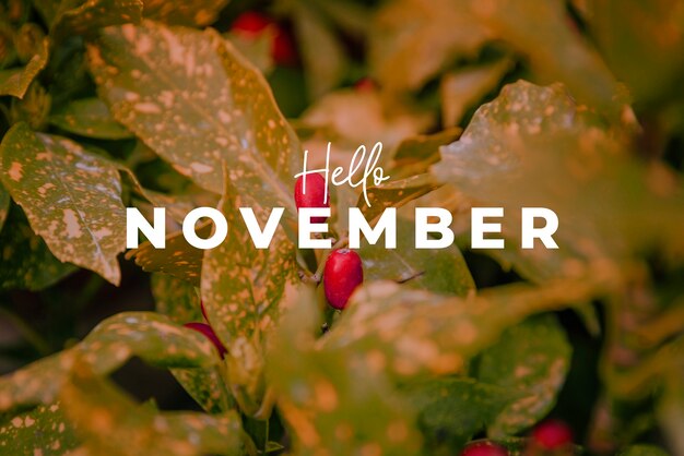 Hallo November-Komposition mit Blättern