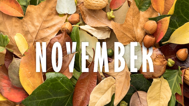 Hallo November-Komposition mit Blättern