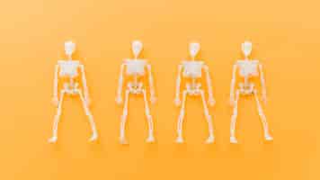 Kostenloses Foto halloween-komposition mit vier skeletten