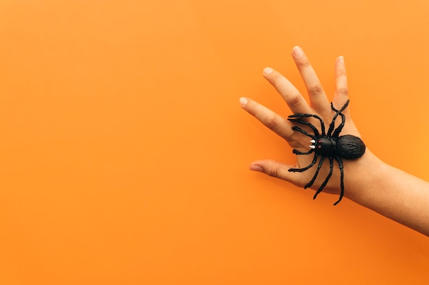 Halloween-Konzept mit Spinne auf der Hand