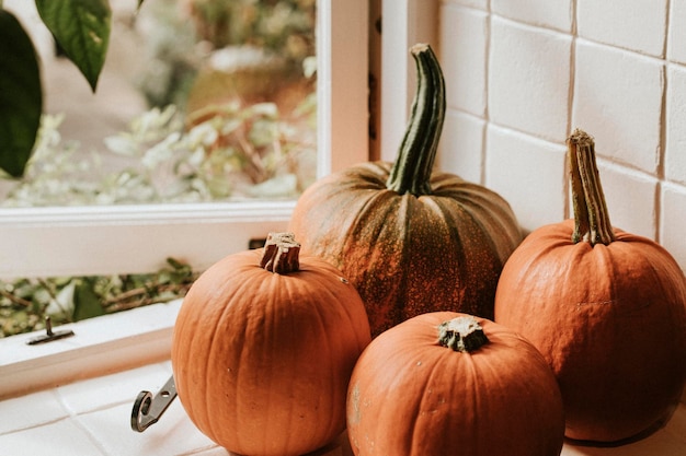 Halloween-Kürbis-Ernte-Hintergrund in dunkler Herbststimmung