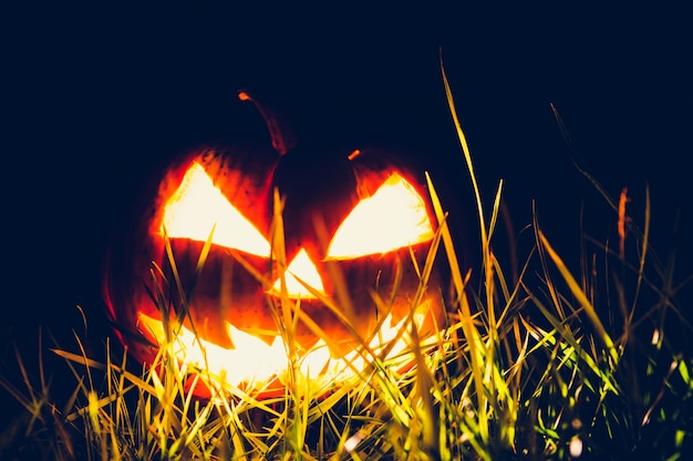 Kostenloses Foto halloween-kürbis mit rasen vor dem haus