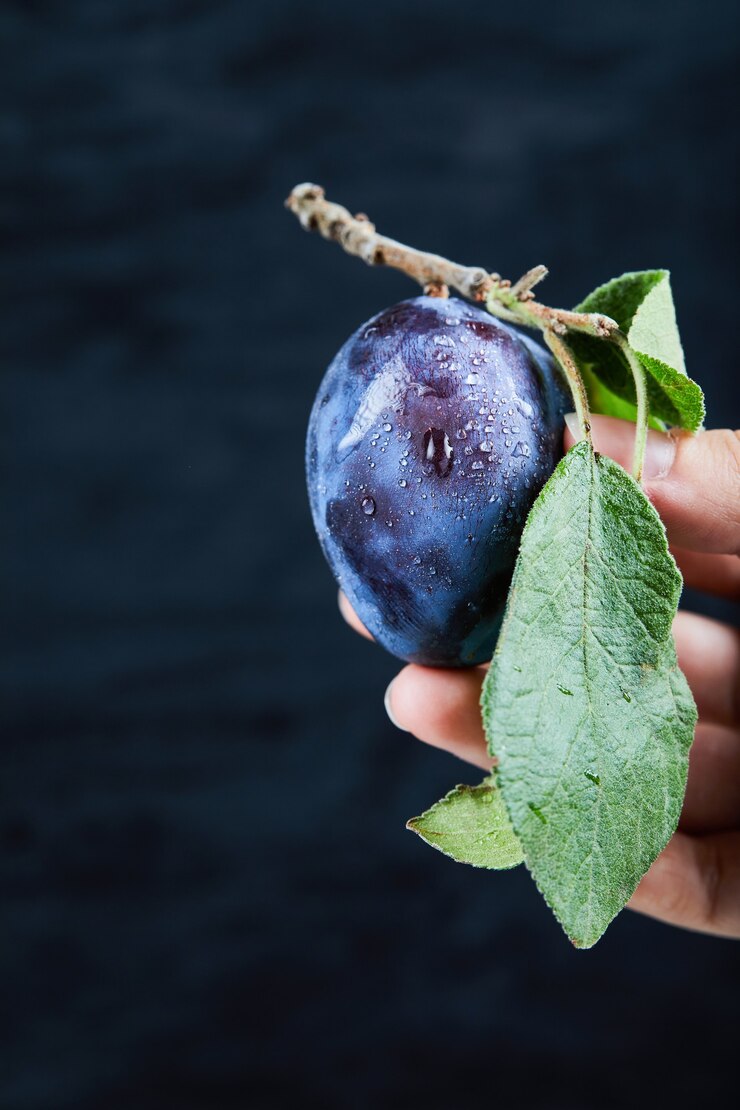 Kostenlose Foto hand, die eine frische pflaume auf einem schwarzen hintergrund hält. hochwertiges foto