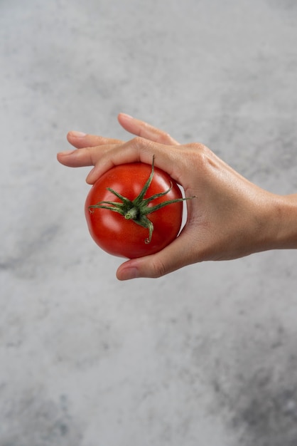 Hand, die eine frische rote Tomate auf einem Marmorhintergrund hält.