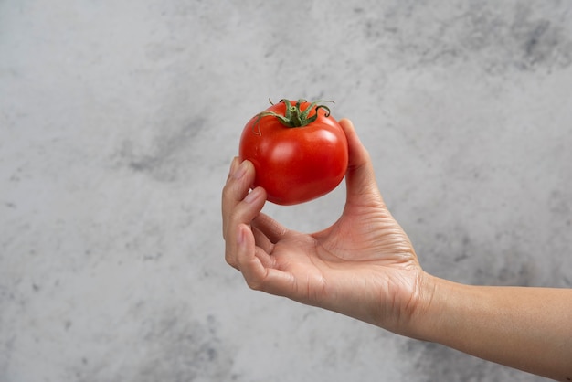 Hand, die eine frische rote Tomate auf einem Marmorhintergrund hält.