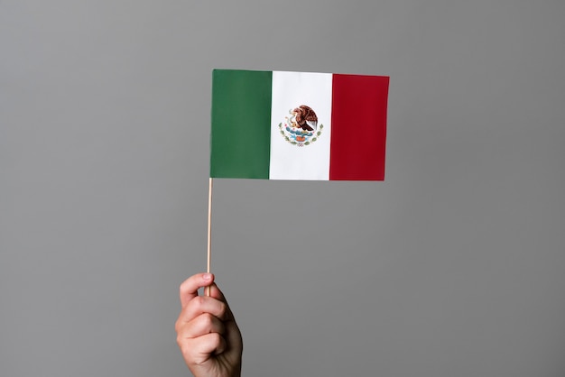 Hand, die mexikanisches Flaggenstudio hält