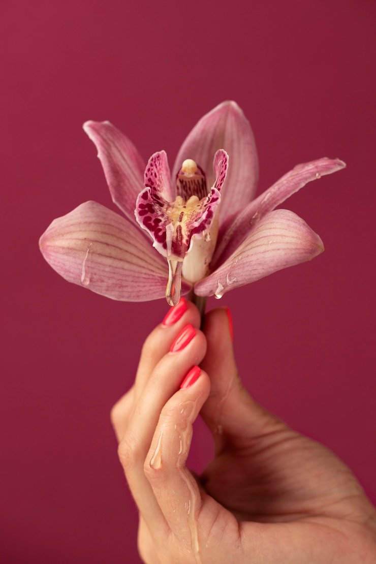 Kostenlose Foto hand, die seitenansicht der orchidee hält
