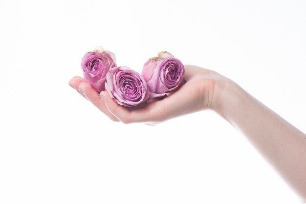 Hand mit Rosen