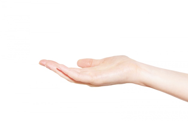Bilder Hand Gratis Vektoren Fotos Und Psds