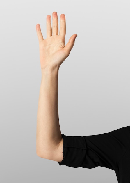 Kostenloses Foto handfläche, die unsichtbare bildschirmhandgeste berührt