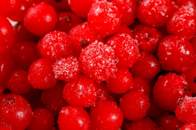 Haufen eisiger roter Johannisbeeren in Nahaufnahme